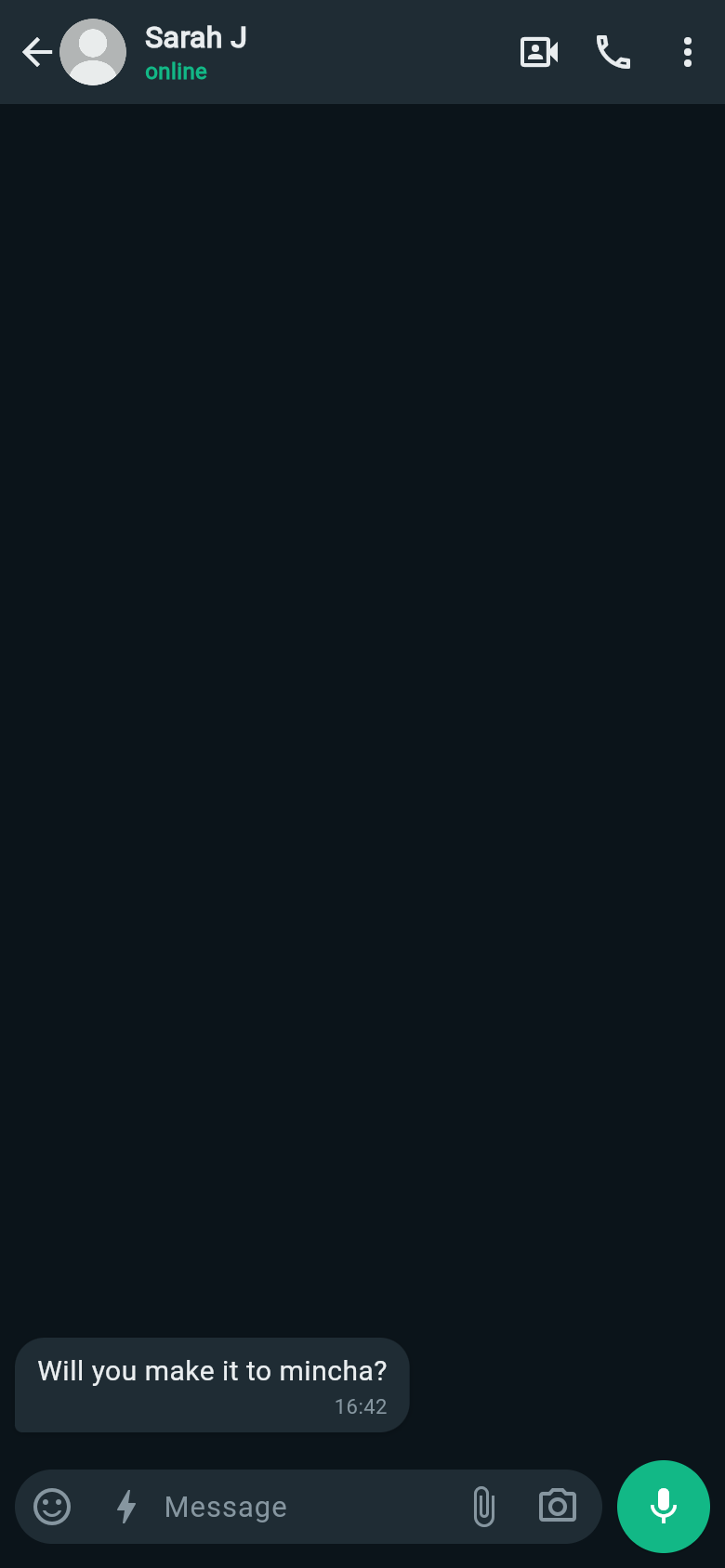 Vutsapp chat detail screenshot